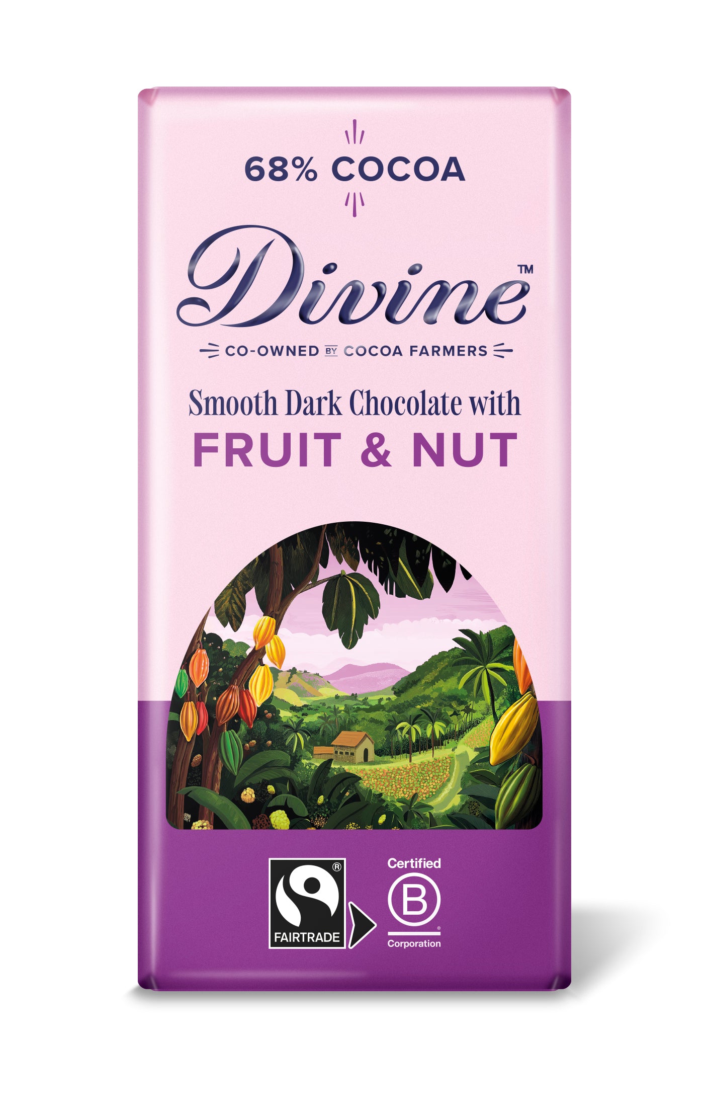 Divine Dark Chocolate 68% with Fruit & Nut 15x90g