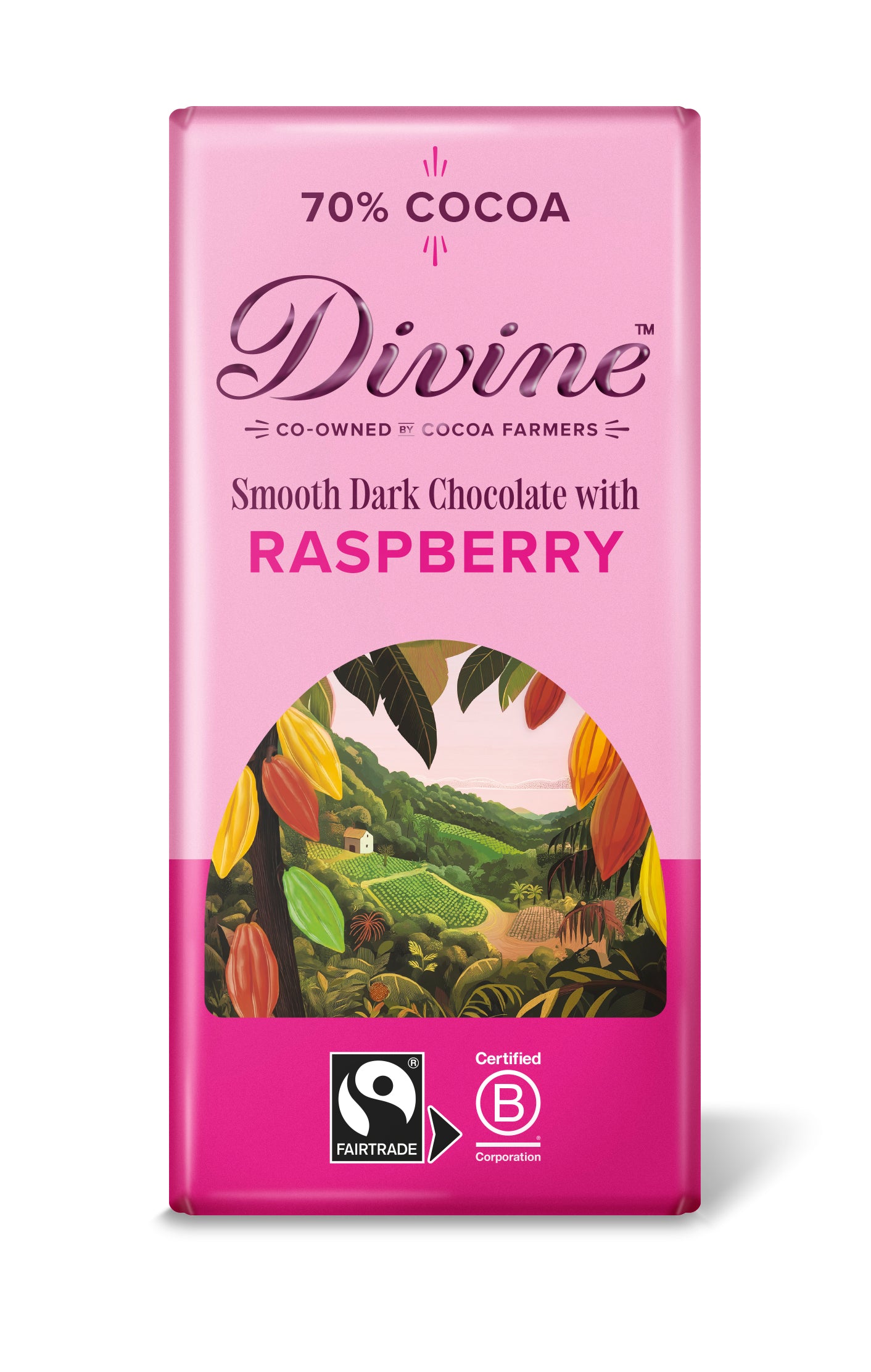 Divine Dark Chocolate 70% with Raspberry, 90g 15-p